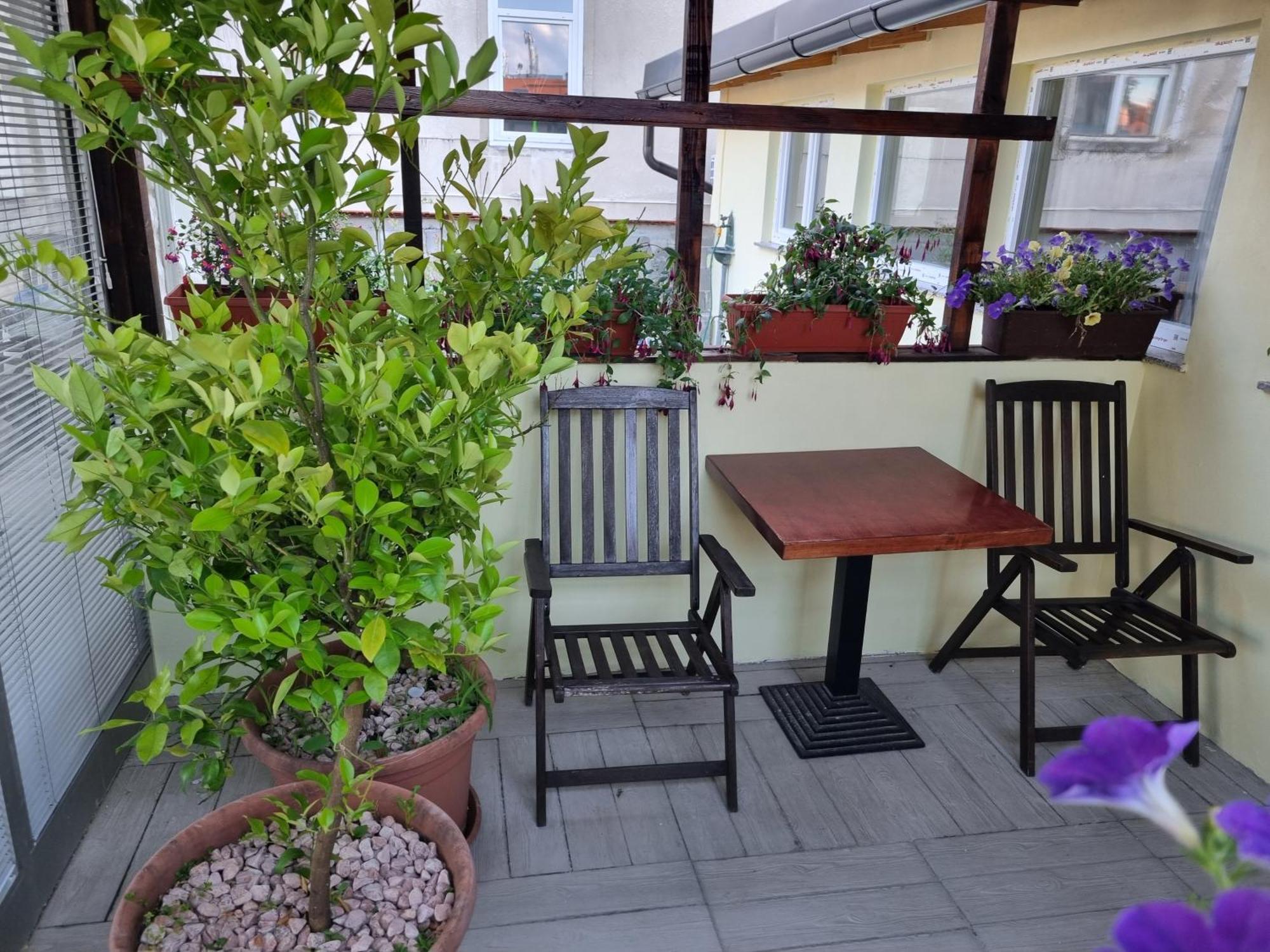 Apartments Fazarinc S Parkiriscem 첼레 외부 사진